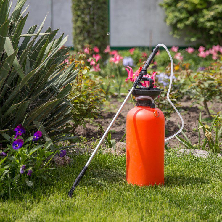 Arboricultural Services in Sheridan, TX